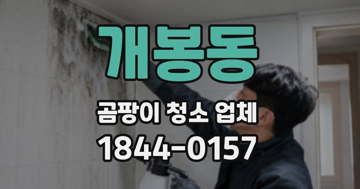 개봉동 곰팡이 청소 업체