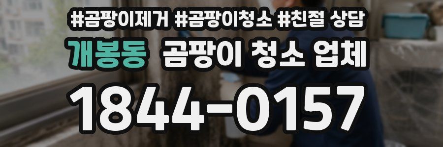 개봉동 곰팡이 청소 업체