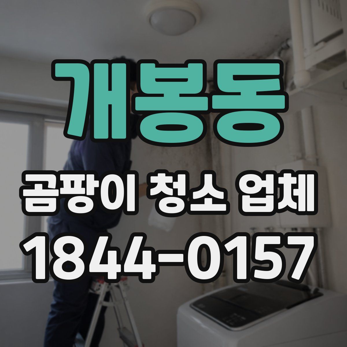 개봉동 곰팡이 청소 업체