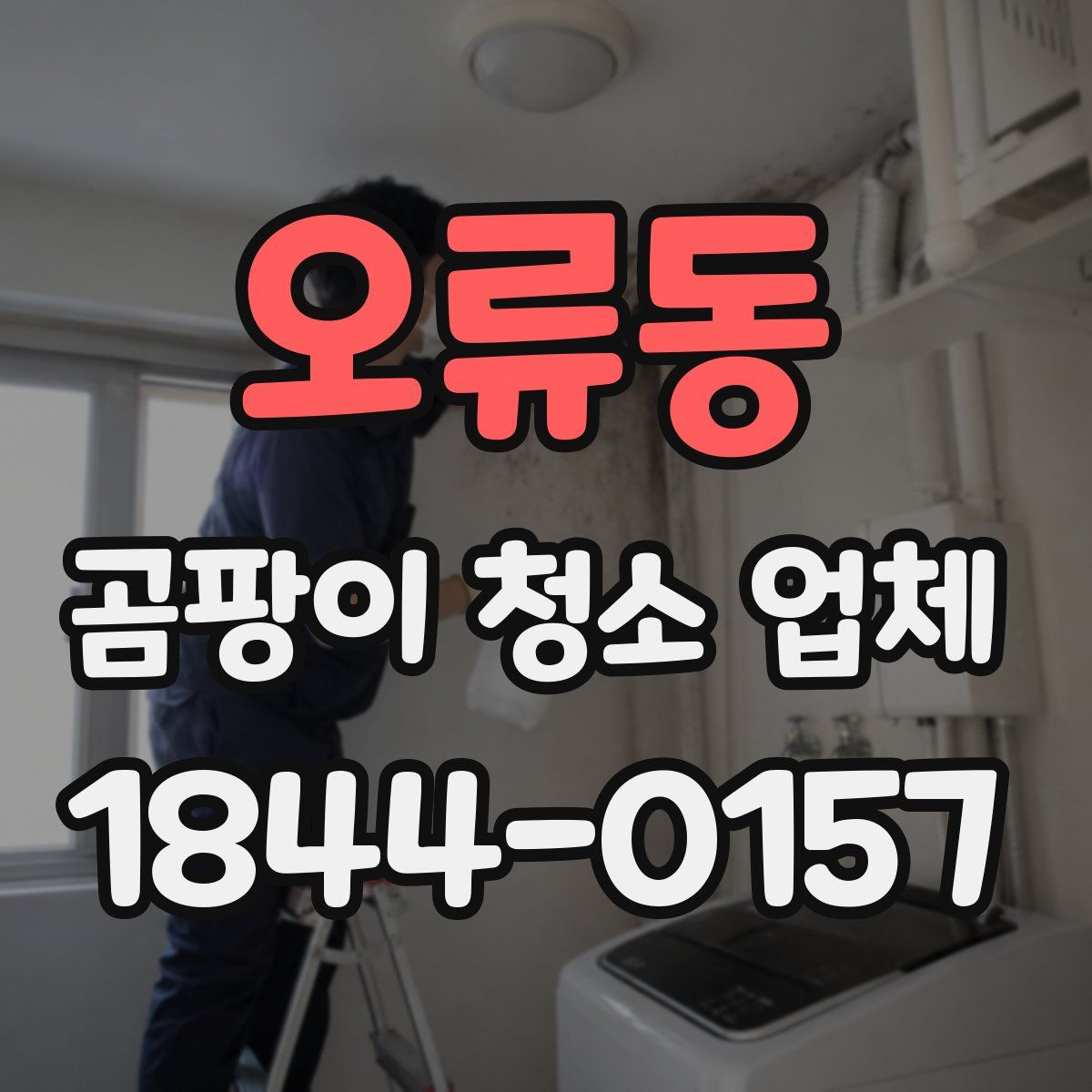 오류동 곰팡이 청소 업체