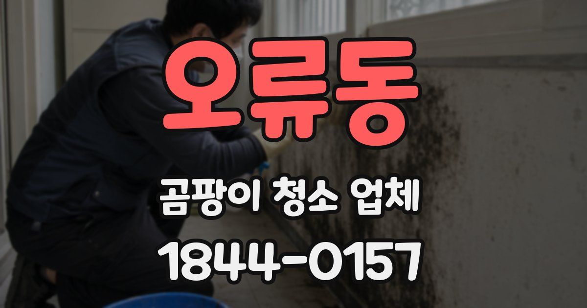 오류동 곰팡이 청소 업체