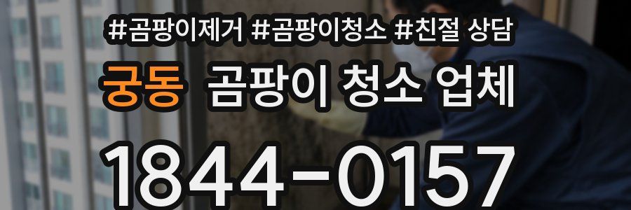 궁동 곰팡이 청소 업체