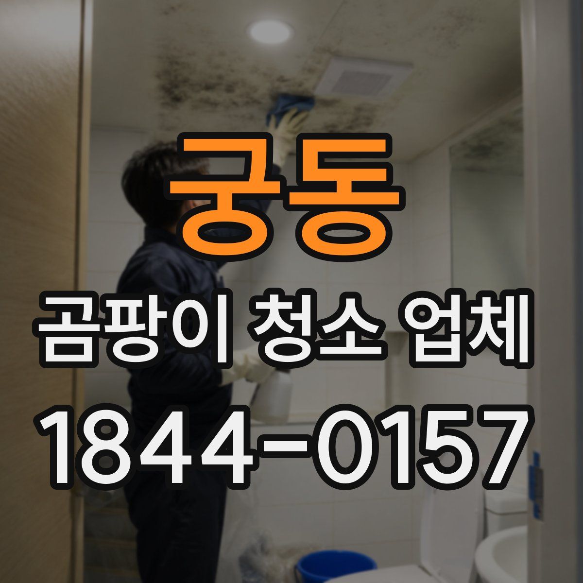 궁동 곰팡이 청소 업체