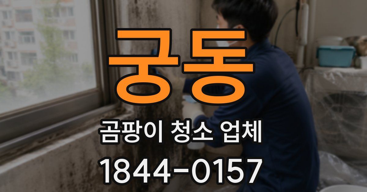 궁동 곰팡이 청소 업체