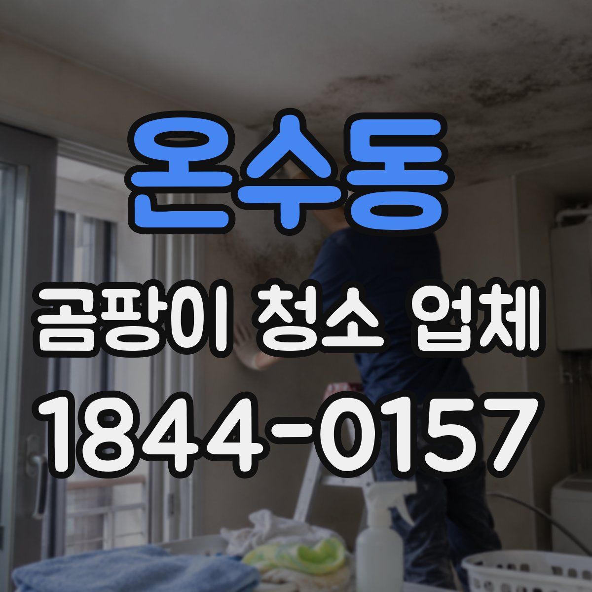온수동 곰팡이 청소 업체