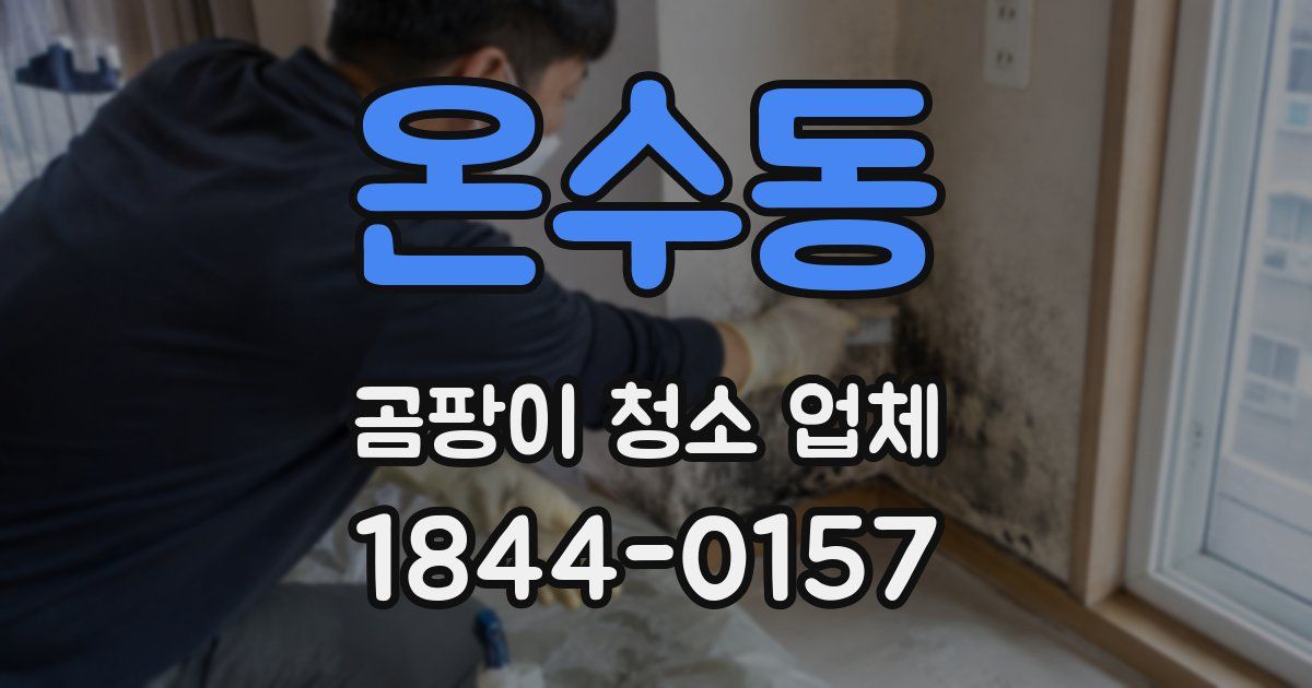 온수동 곰팡이 청소 업체