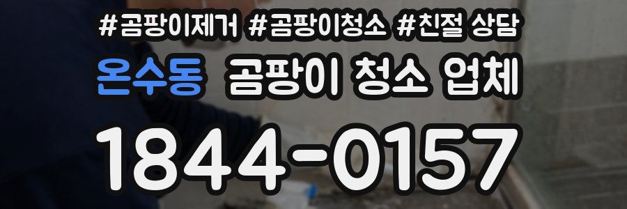 온수동 곰팡이 청소 업체