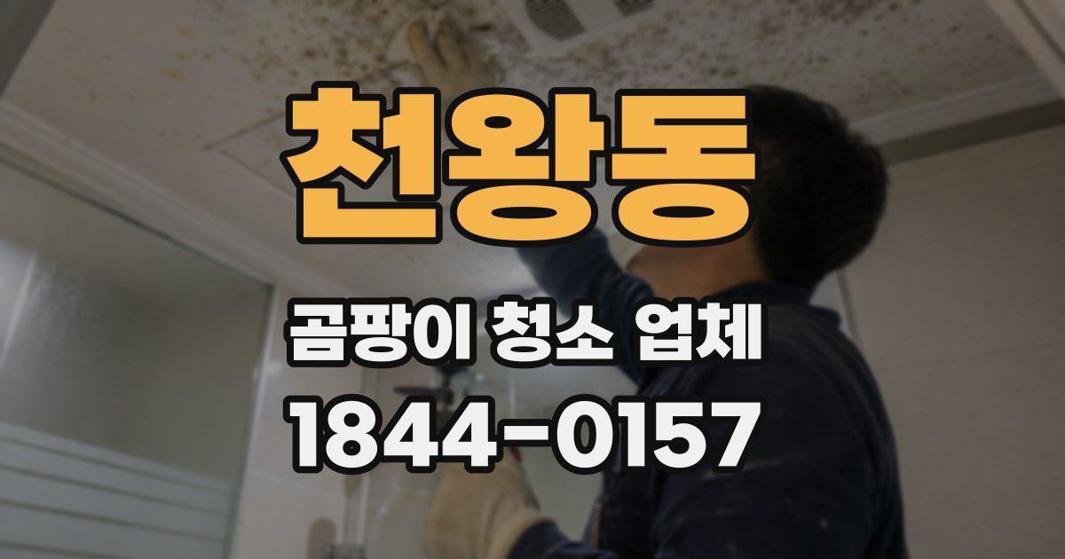 천왕동 곰팡이 청소 업체