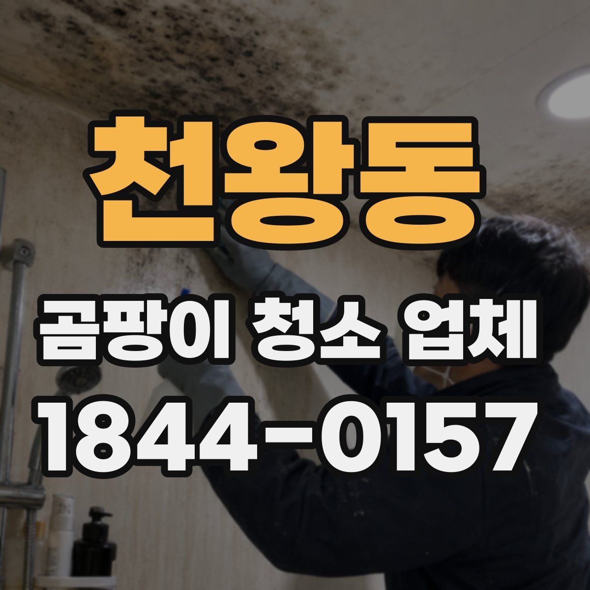 천왕동 곰팡이 청소 업체