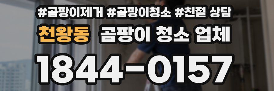 천왕동 곰팡이 청소 업체