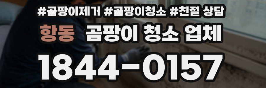 항동 곰팡이 청소 업체
