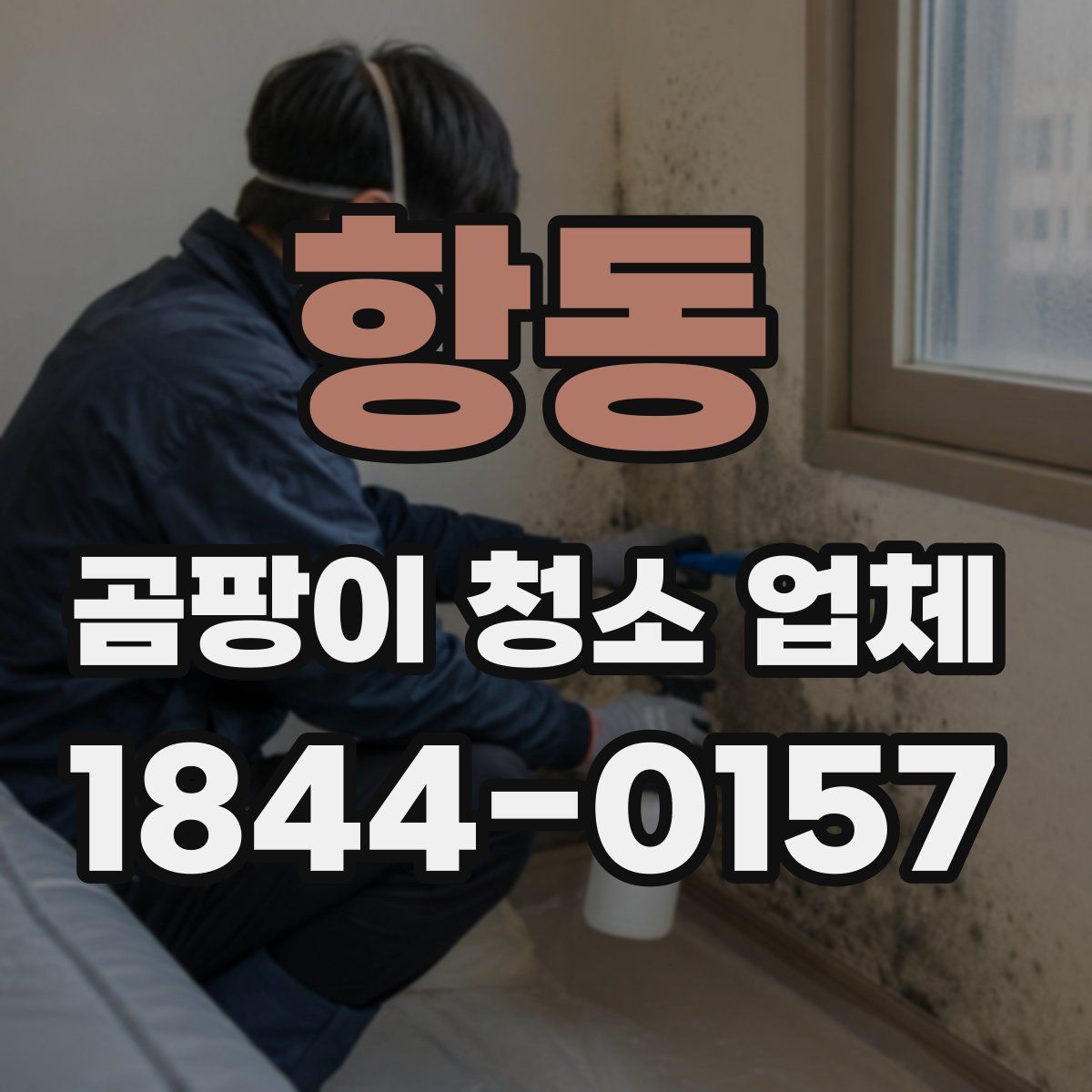 항동 곰팡이 청소 업체