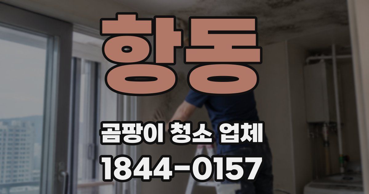 항동 곰팡이 청소 업체