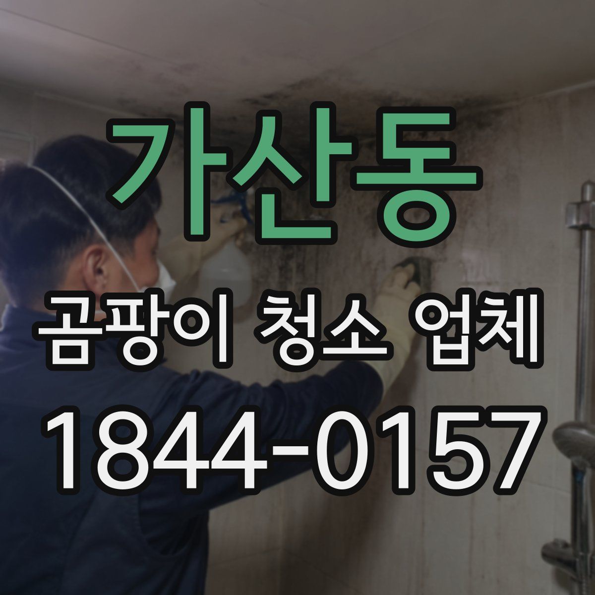 가산동 곰팡이 청소 업체
