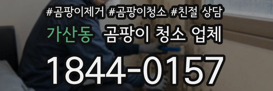 가산동 곰팡이 청소 업체