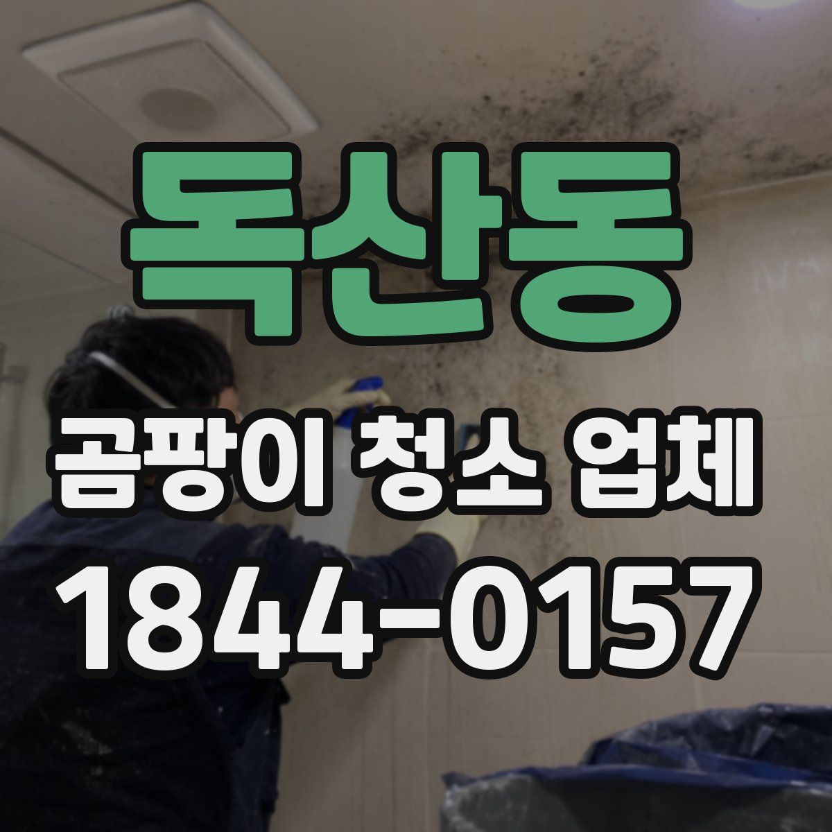 독산동 곰팡이 청소 업체