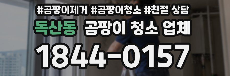 독산동 곰팡이 청소 업체