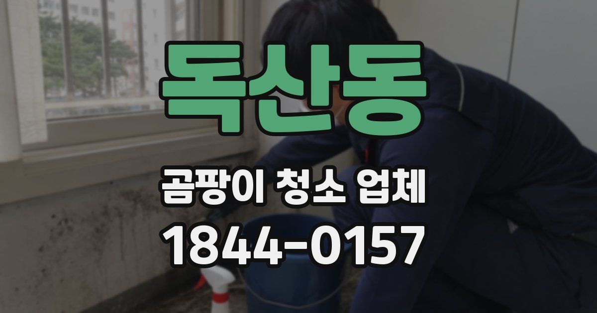 독산동 곰팡이 청소 업체