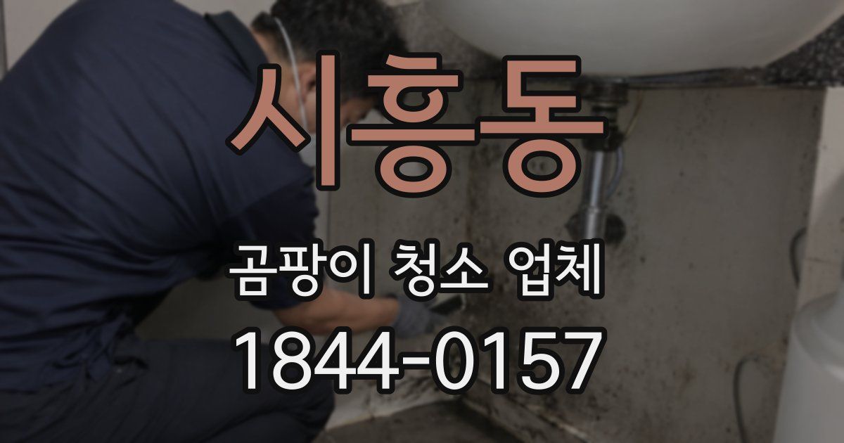 시흥동 곰팡이 청소 업체