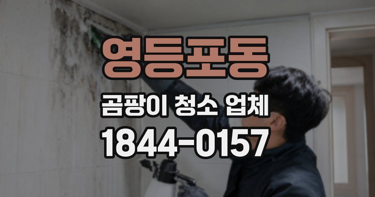 영등포동 곰팡이 청소 업체