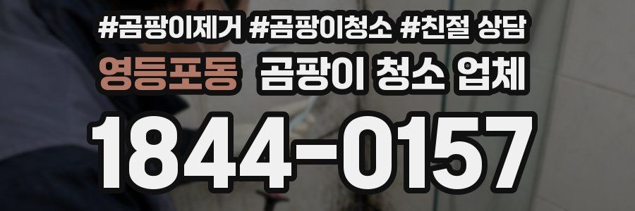 영등포동 곰팡이 청소 업체