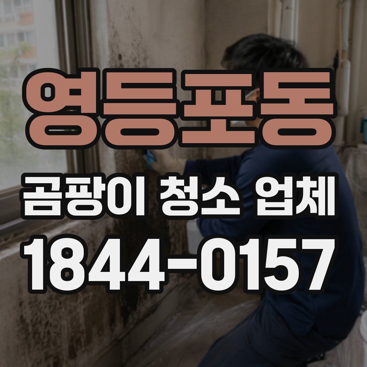 영등포동 곰팡이 청소 업체