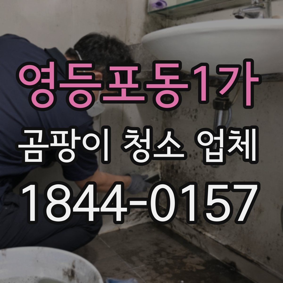 영등포동1가 곰팡이 청소 업체 작업 범위에 포함되는 항목
