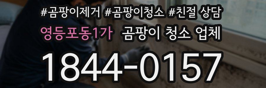 영등포동1가 곰팡이 청소 업체