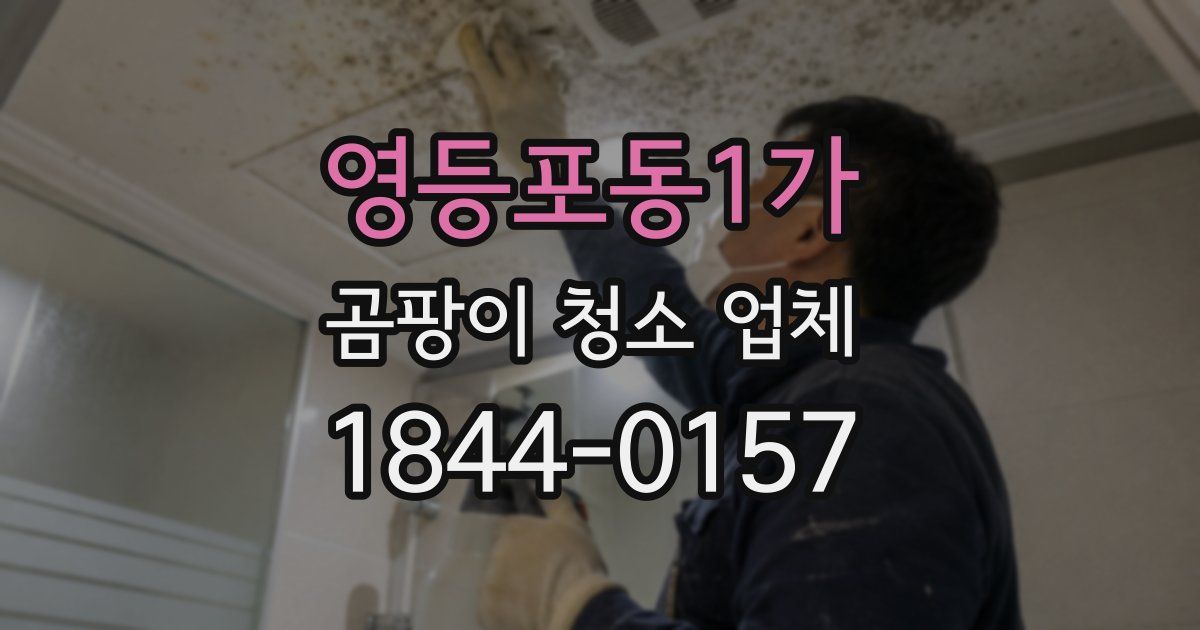영등포동1가 곰팡이 청소 업체