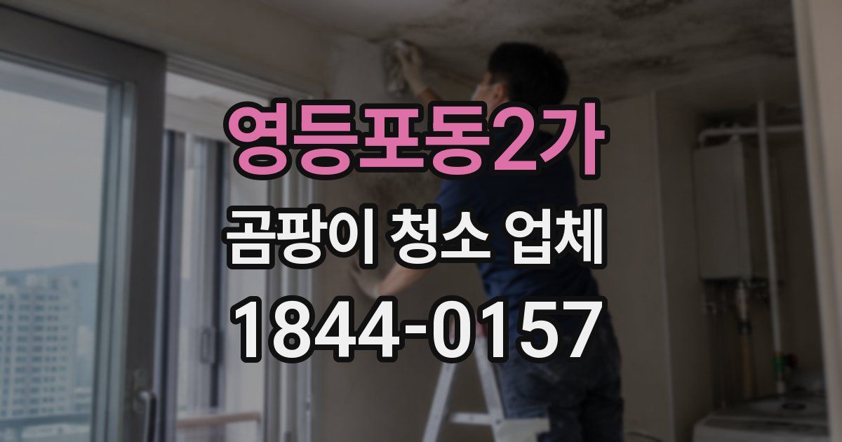영등포동2가 곰팡이 청소 업체