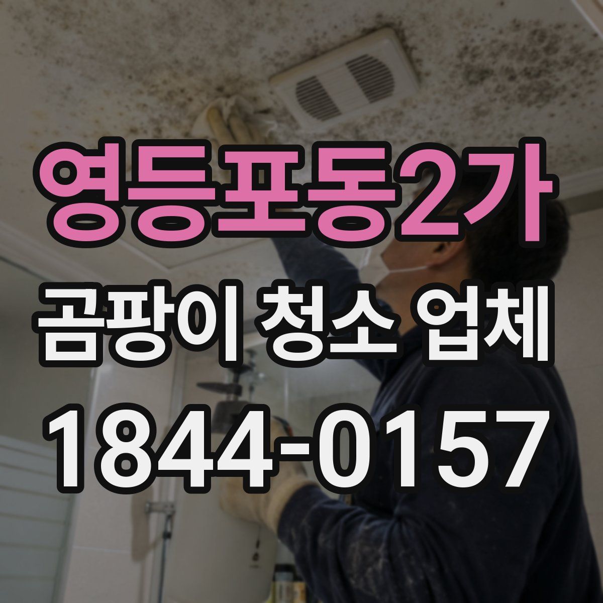 영등포동2가 곰팡이 청소 업체