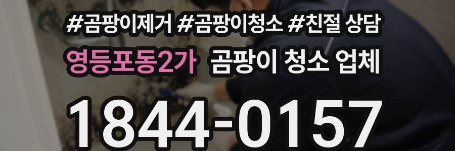 영등포동2가 곰팡이 청소 업체