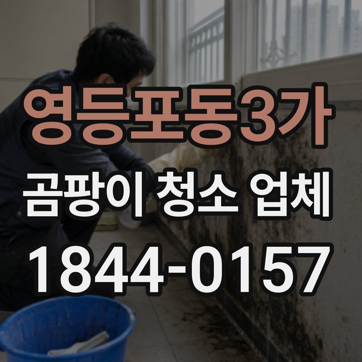 영등포동3가 곰팡이 청소 업체