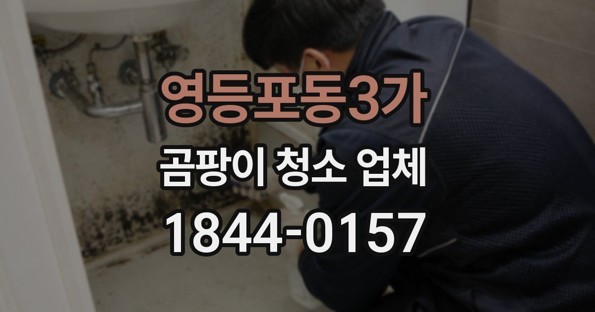 영등포동3가 곰팡이 청소 업체