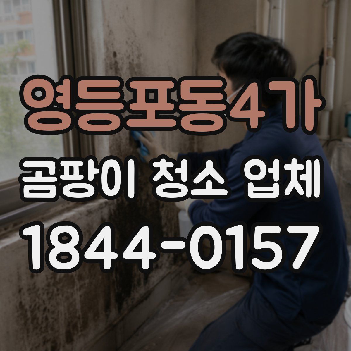 영등포동4가 곰팡이 청소 업체