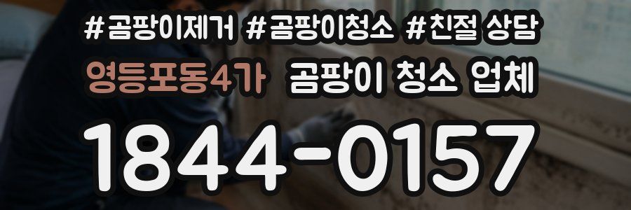 영등포동4가 곰팡이 청소 업체