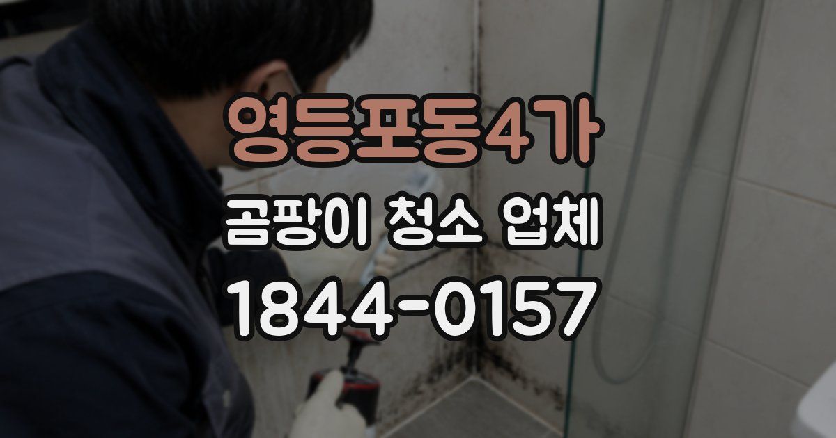 영등포동4가 곰팡이 청소 업체