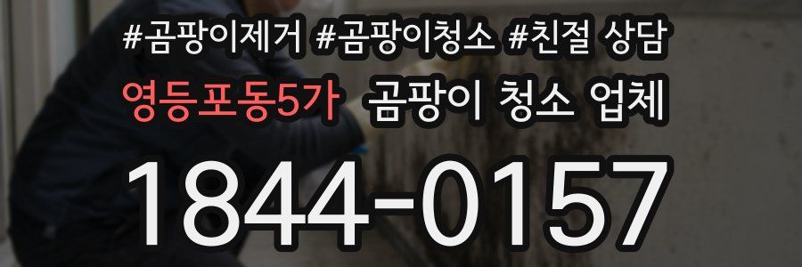 영등포동5가 곰팡이 청소 업체