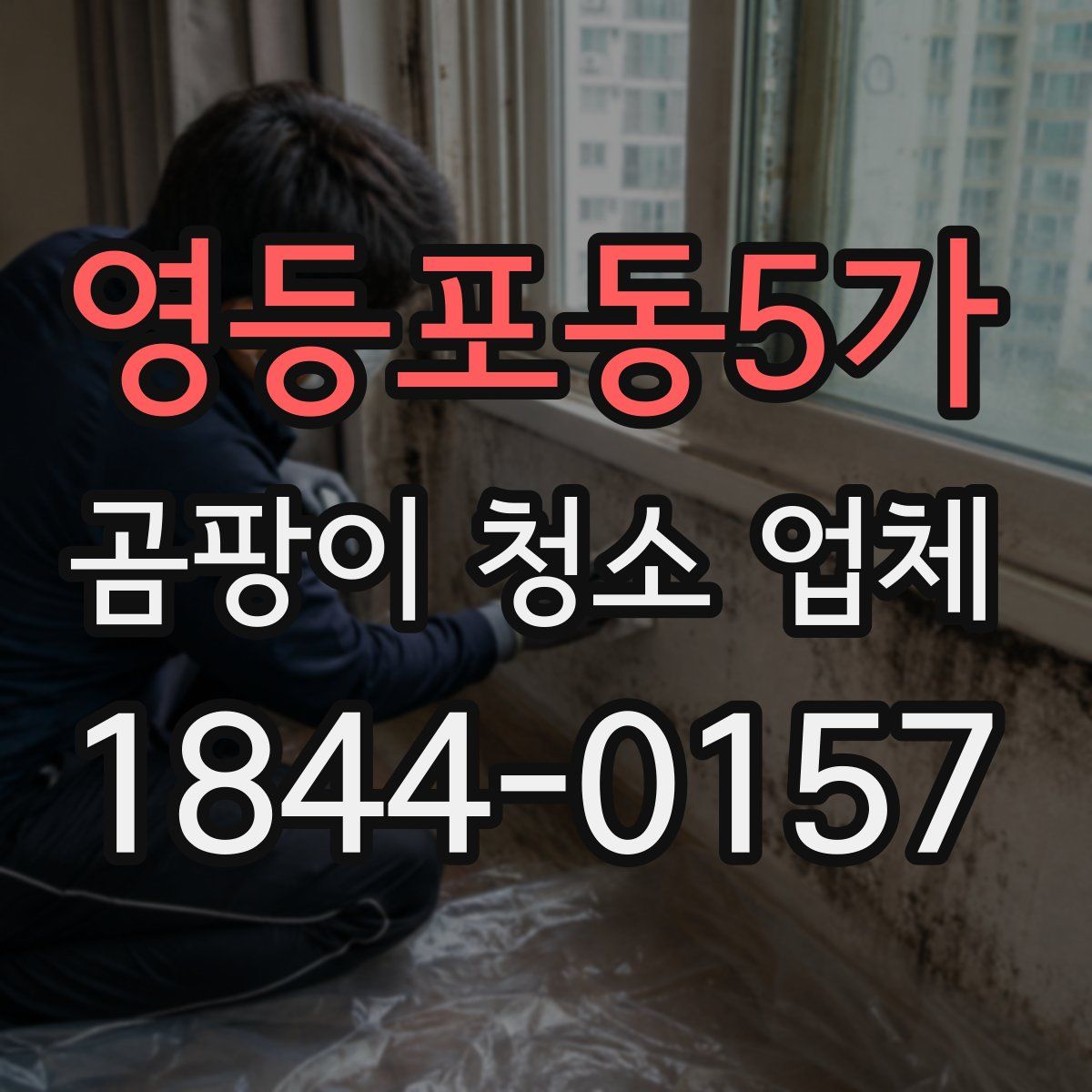 영등포동5가 곰팡이 청소 업체