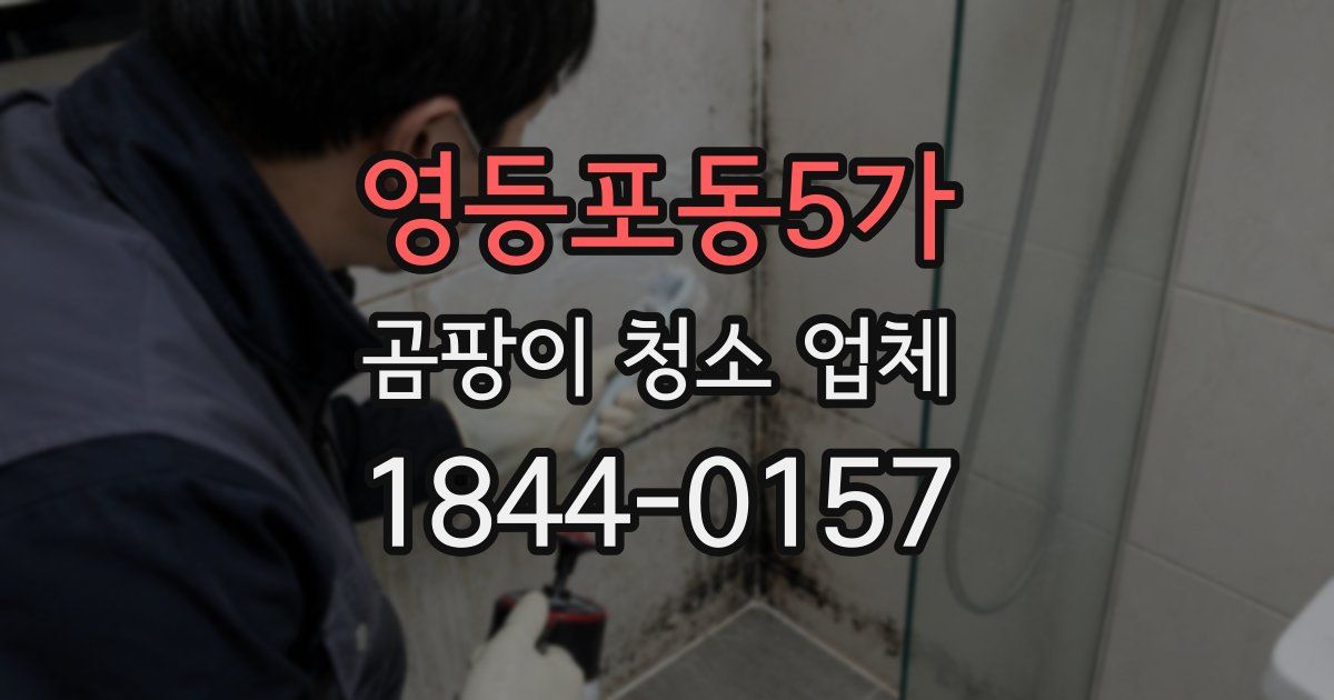영등포동5가 곰팡이 청소 업체