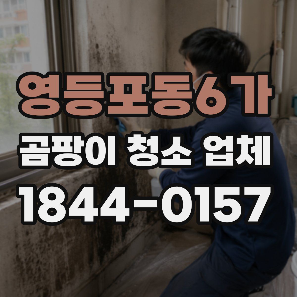 영등포동6가 곰팡이 청소 업체