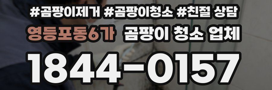 영등포동6가 곰팡이 청소 업체