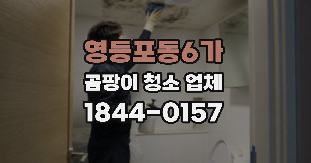 영등포동6가 곰팡이 청소 업체