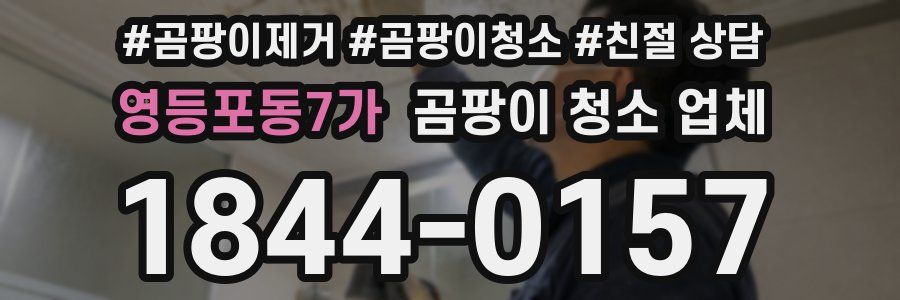 영등포동7가 곰팡이 청소 업체