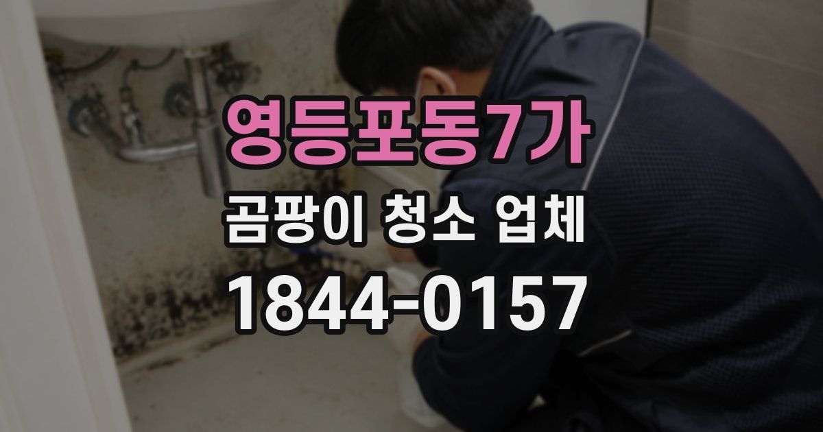 영등포동7가 곰팡이 청소 업체