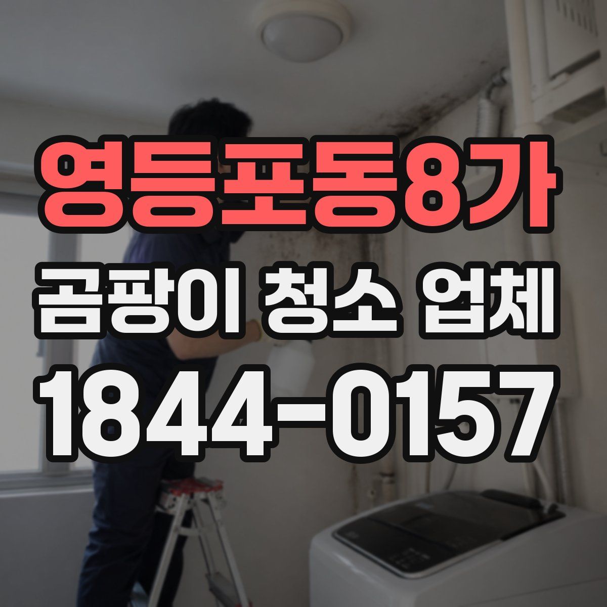 영등포동8가 곰팡이 청소 업체