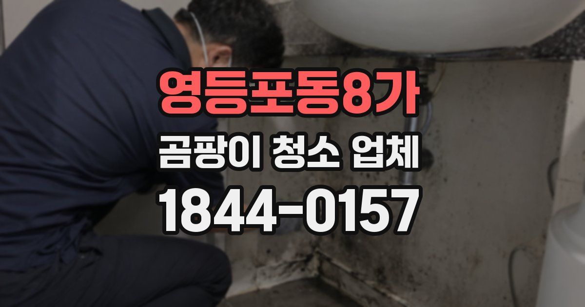 영등포동8가 곰팡이 청소 업체