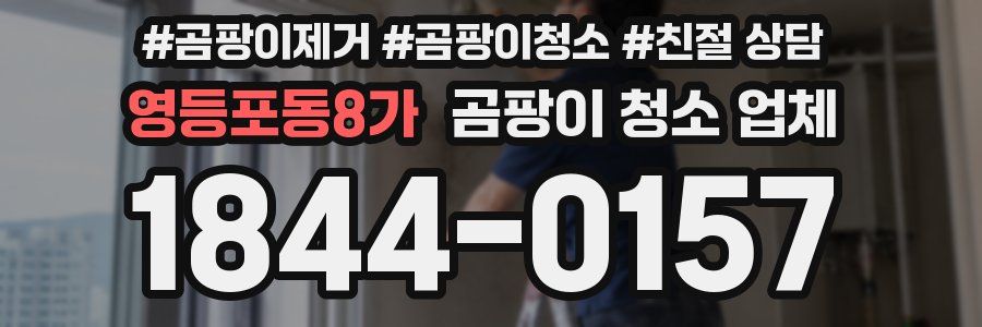 영등포동8가 곰팡이 청소 업체