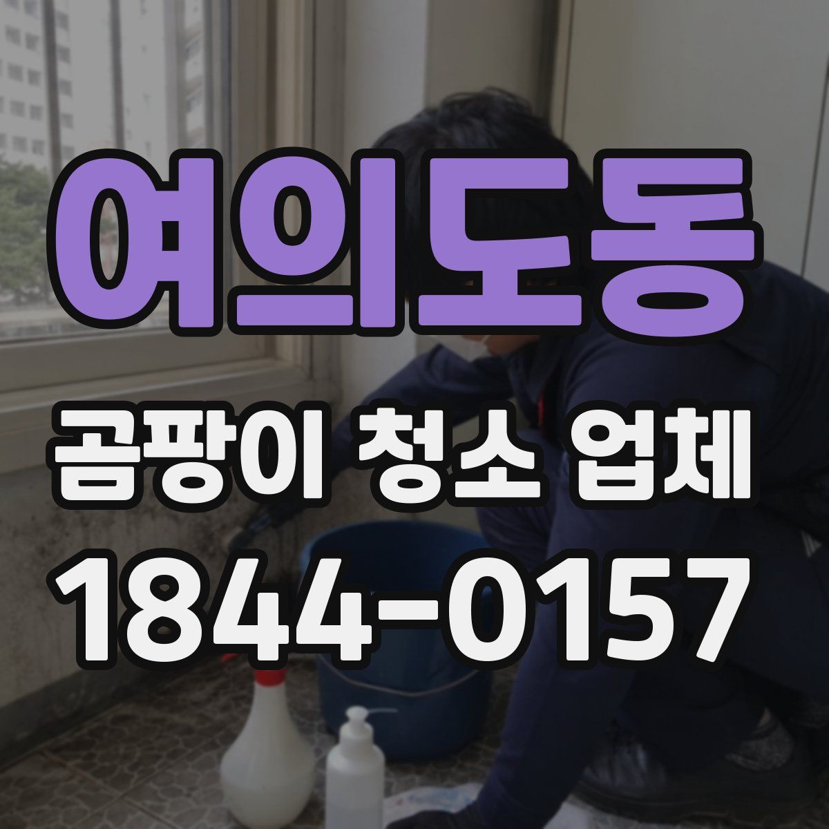 여의도동 곰팡이 청소 업체