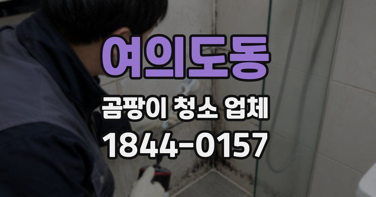 여의도동 곰팡이 청소 업체